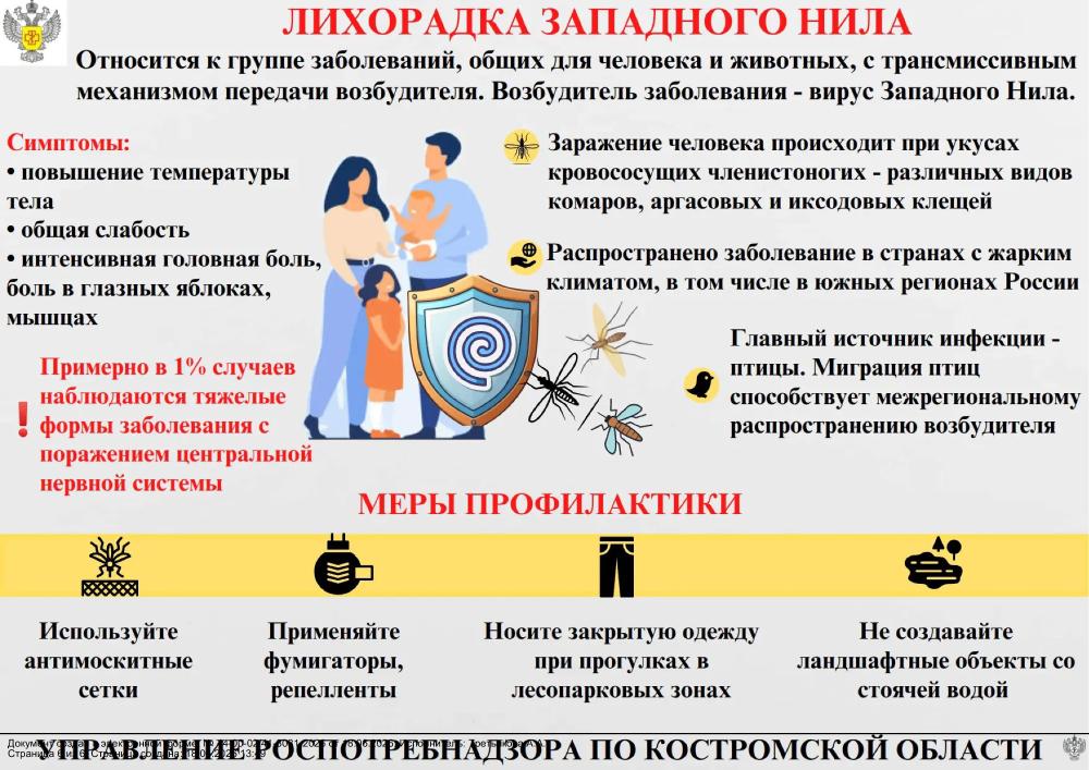 ЛИХОРАДКА ЗАПАДНОГО НИЛА