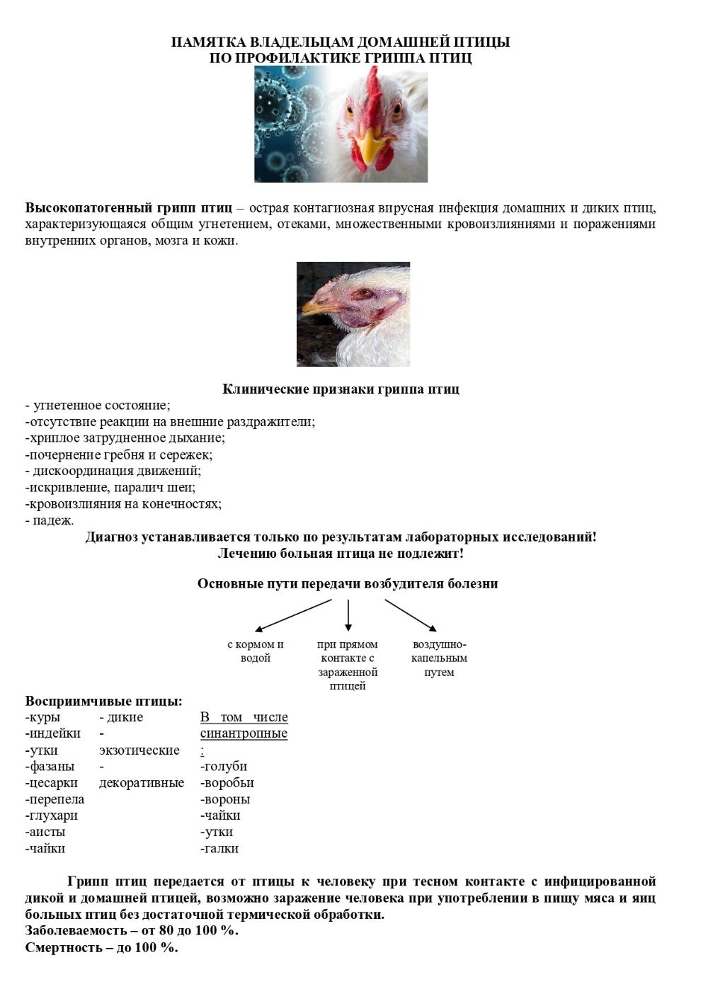 ПАМЯТКА ГРИПП
