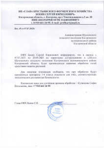 Набросок